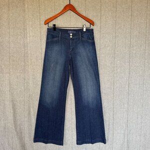 Levi's Y2K Demi Curve Classic Mid Rise Wide Leg Dark Wash Size 10 / 30
